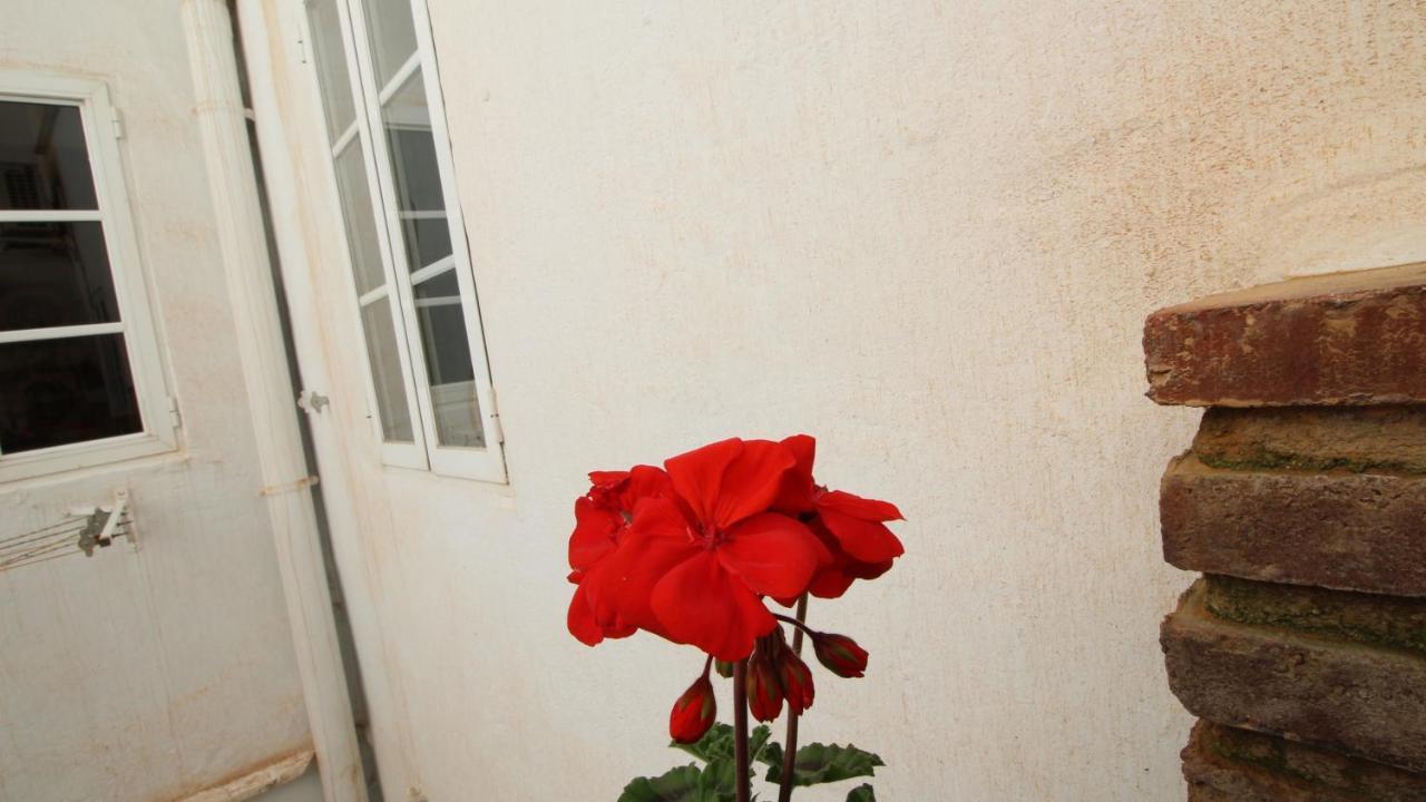 Apartmán Del Parque Flats Alamos Terraza Màlaga Exteriér fotografie